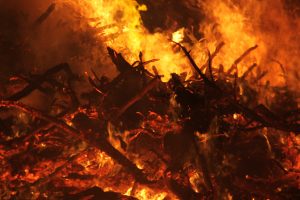 Ein prasselndes Lagerfeuer in Nahaufnahme